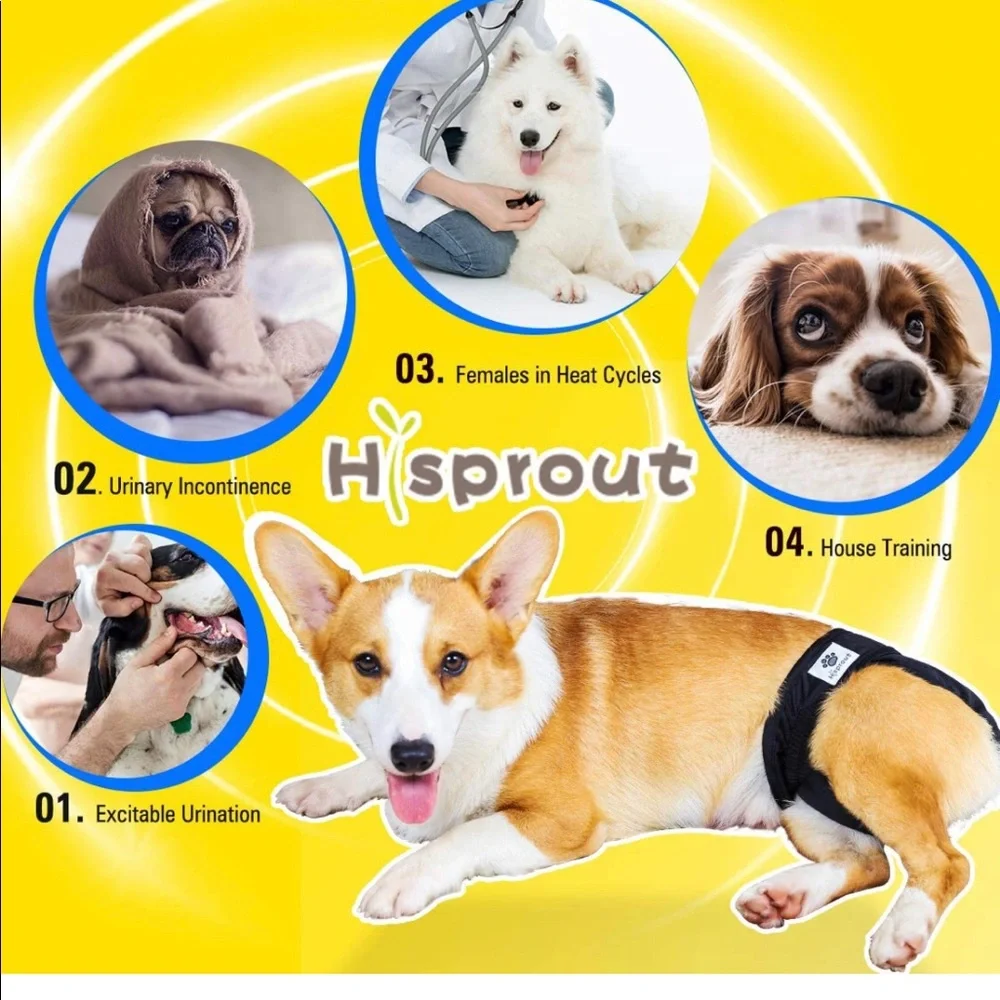 Hi Sprout Female Dog Diaper Reusable Washable Cloth Doggie Butterfly & Toucan L